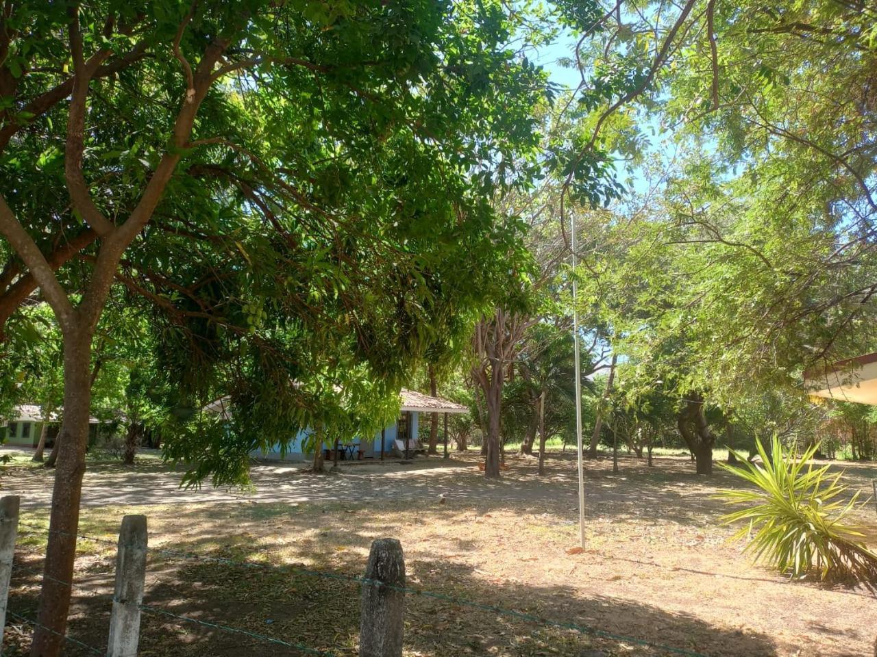 Holiday home Iguana Street *