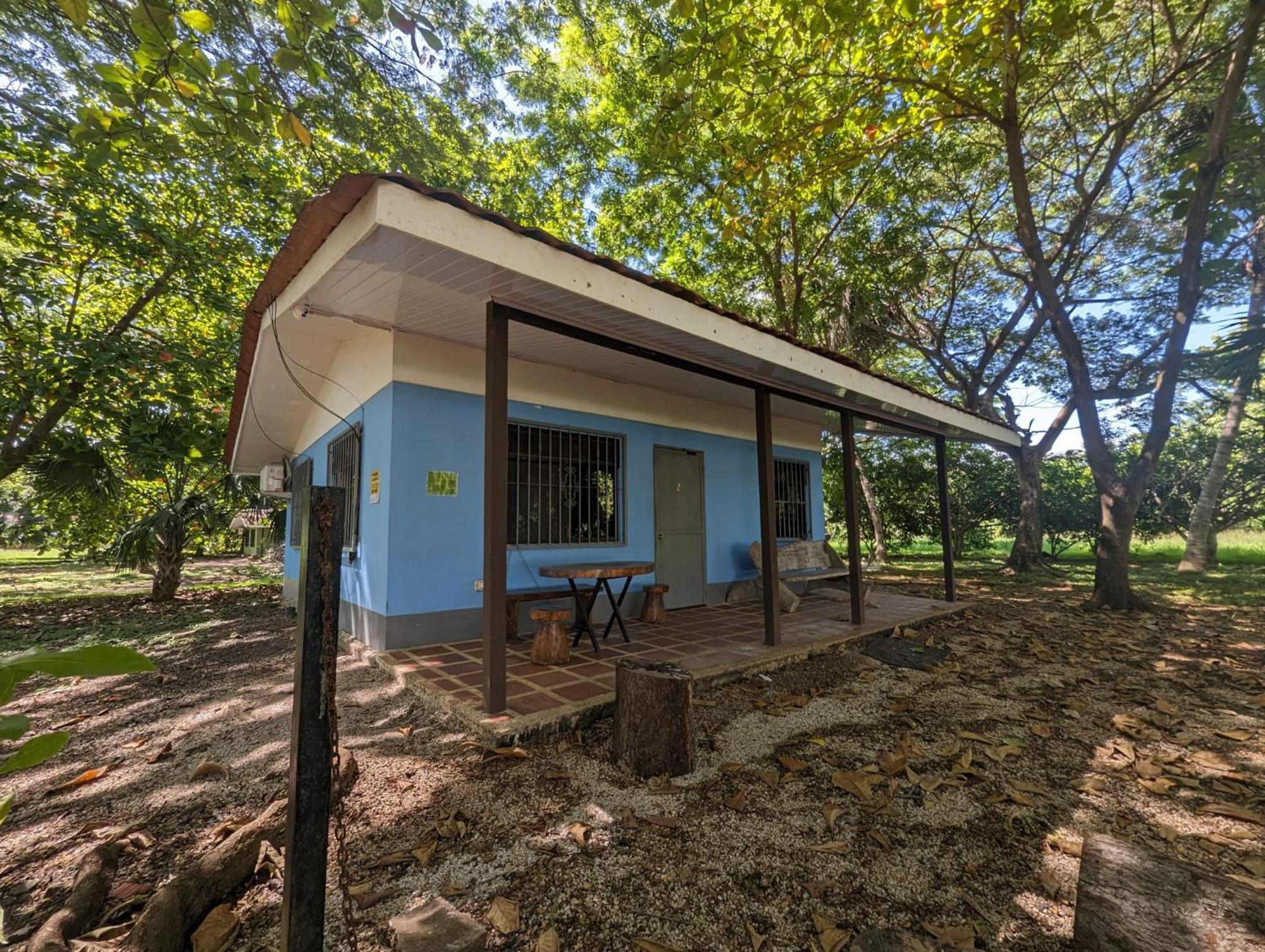 Iguana Street Holiday home Coco