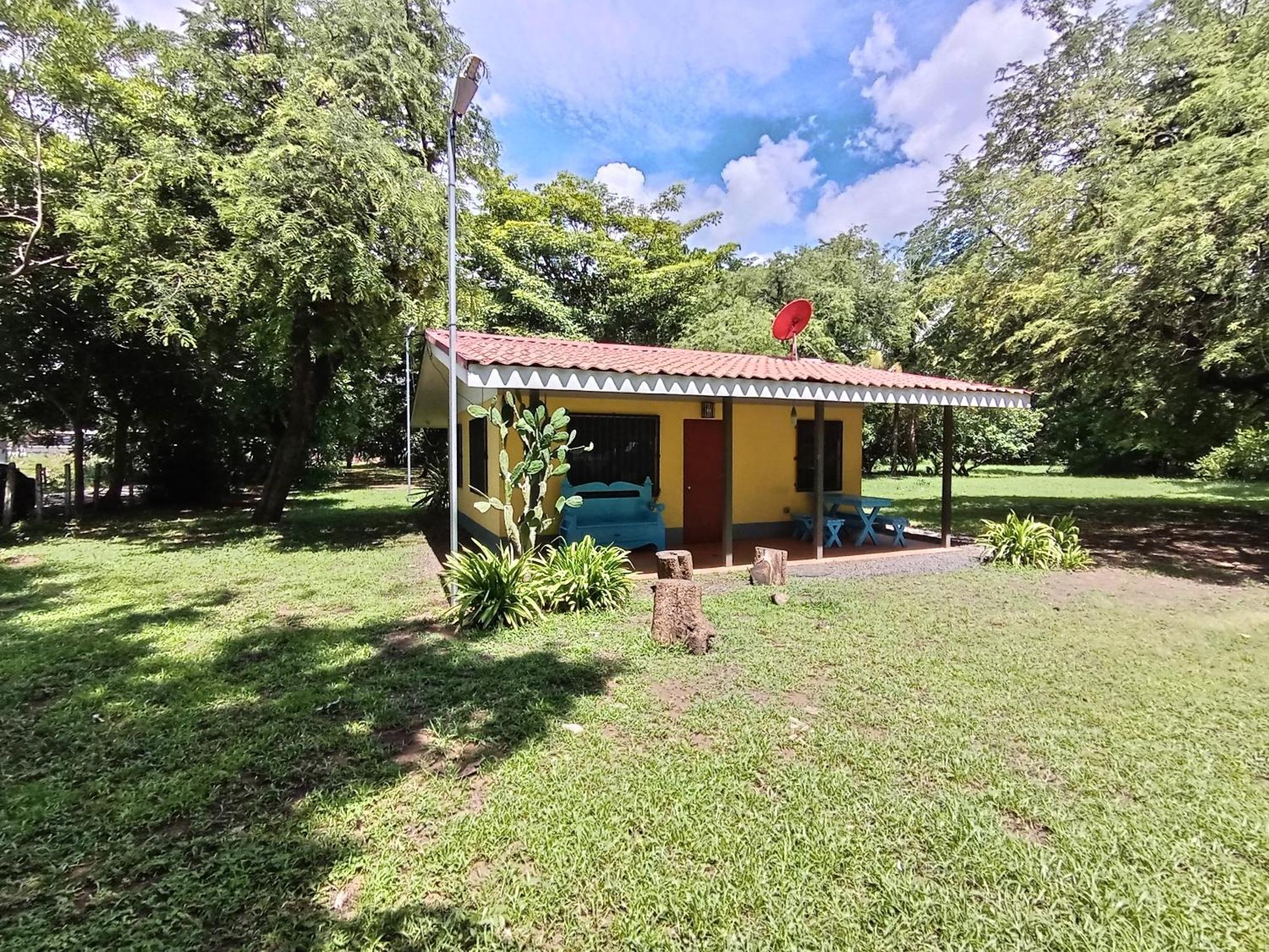 Iguana Street Holiday home